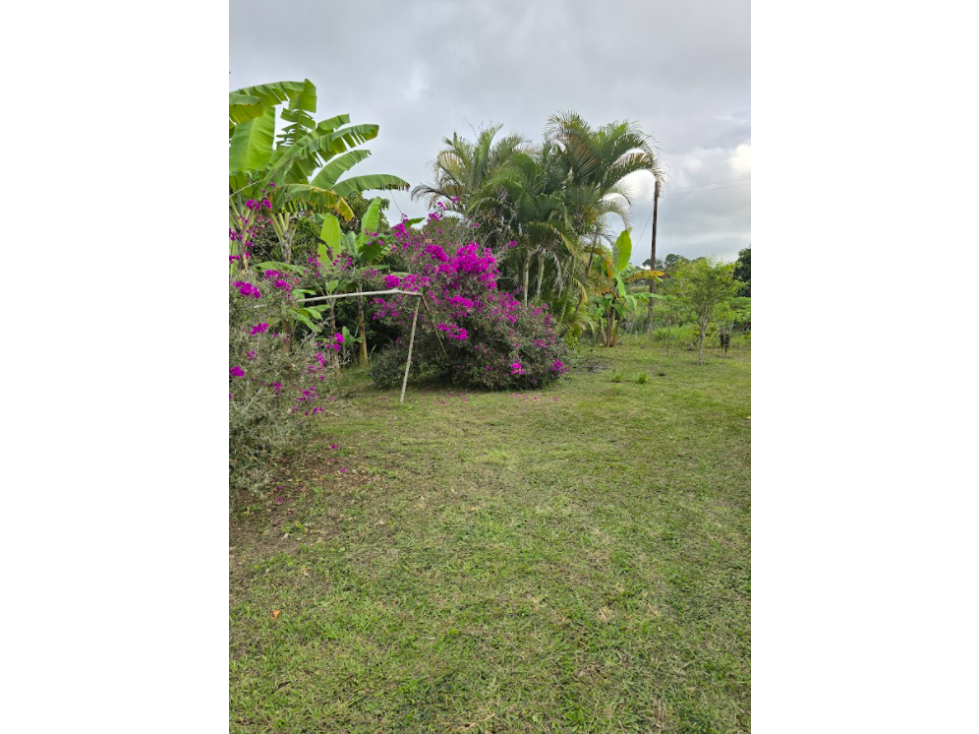 venta / permuta finca Dagua LY8306394 — foto 3