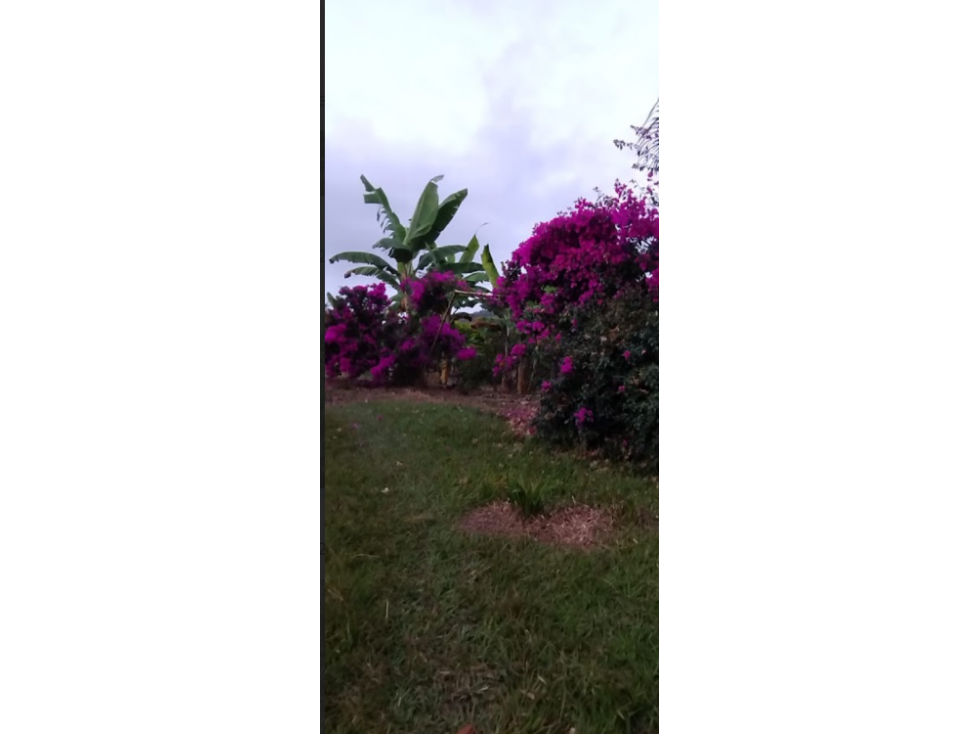 venta / permuta finca Dagua LY8306394 — foto 5