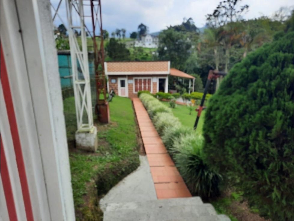 Finca independiente para la venta en Santa Rosa de Cabal!!! — foto 5