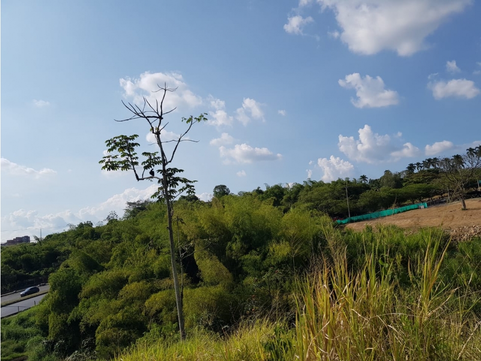 Lote en la Avenida del Sur para la venta, Pereira!!! — foto 3