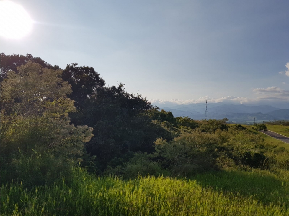Lote en condominio para la venta en Cerritos, Pereira!!! — foto 4
