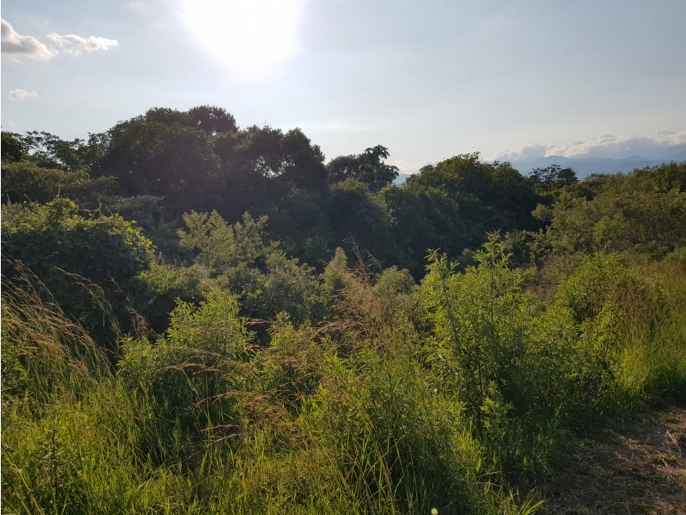 Lote en condominio para la venta en Cerritos, Pereira!!! — foto 6