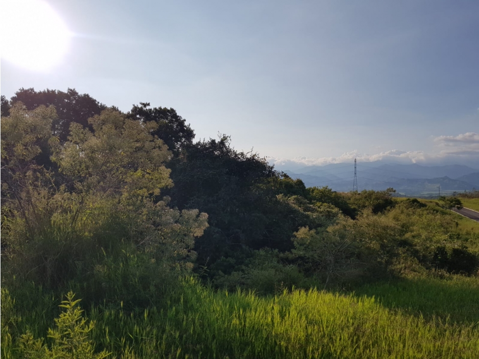 Lote en condominio para la venta en Cerritos, Pereira!!! — foto 5