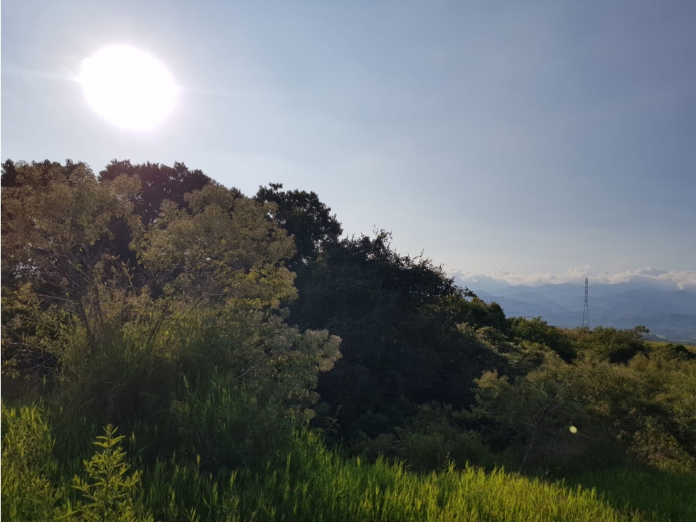 Lote en condominio para la venta en Cerritos, Pereira!!! — foto 3