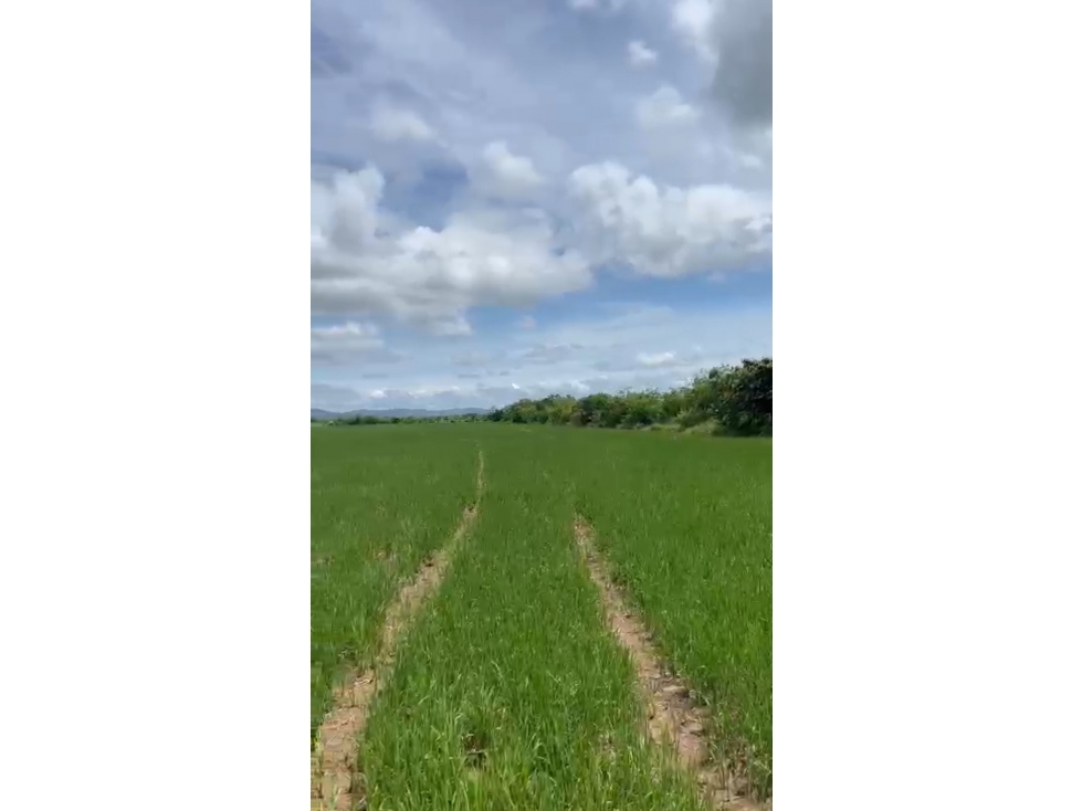 Venta de terreno en Antón, Carretera Panamericana - 1