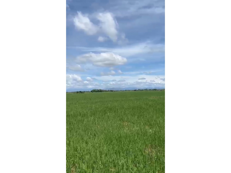 Venta de terreno en Antón, Carretera Panamericana - 2