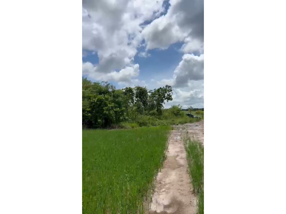 Venta de terreno en Antón, Carretera Panamericana - 3