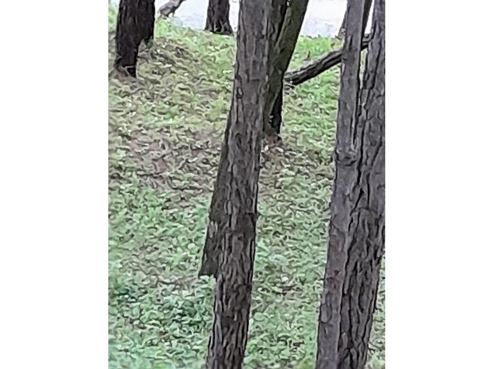 Terreno en Venta, Altos del Maria