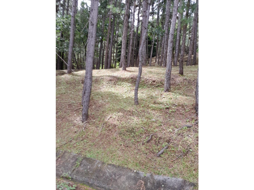 Terreno en Venta, Altos del Maria — foto 6