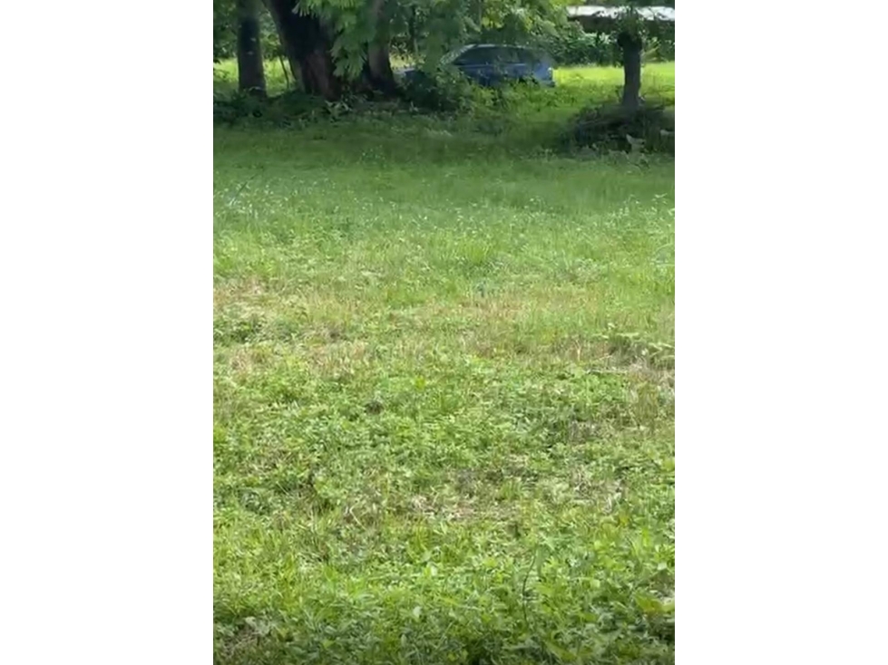 Venta de terreno en Guanico Abajo, Tonosí - 3