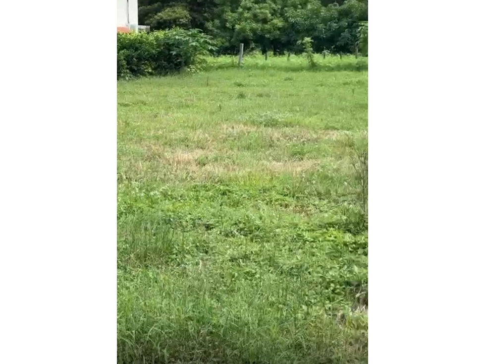 Venta de terreno en Guanico Abajo, Tonosí - 4