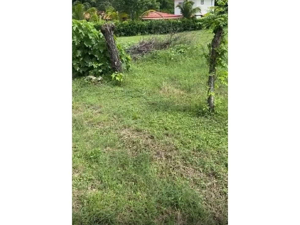 Venta de terreno en Guanico Abajo, Tonosí - 5