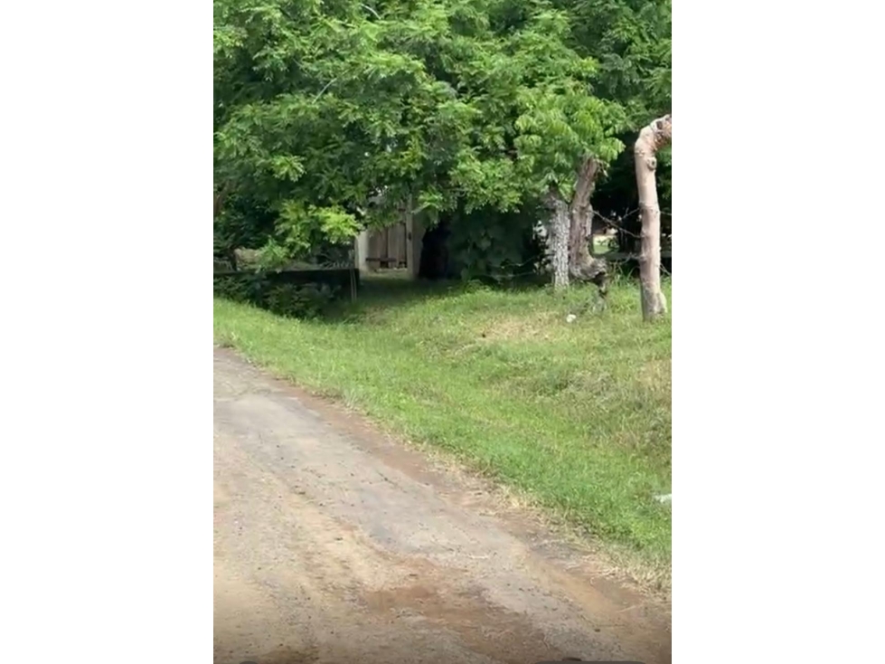 Venta de terreno en Guanico Abajo, Tonosí - 6