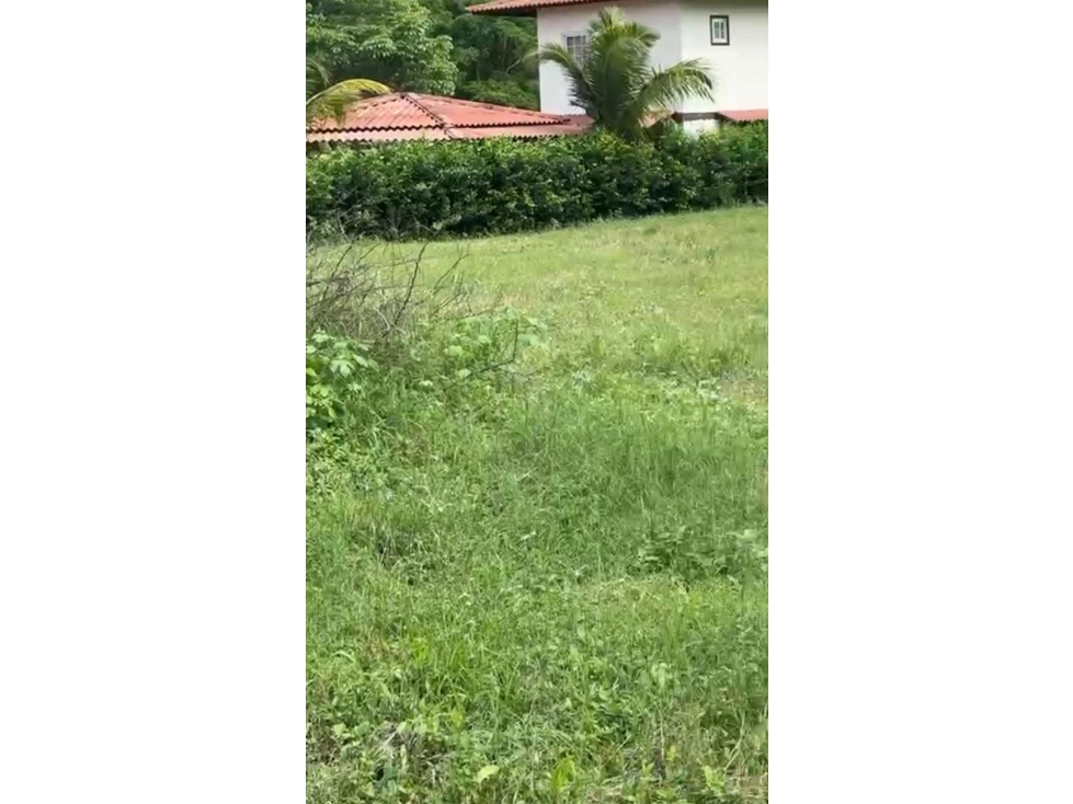 Venta de terreno en Guanico Abajo, Tonosí - 2