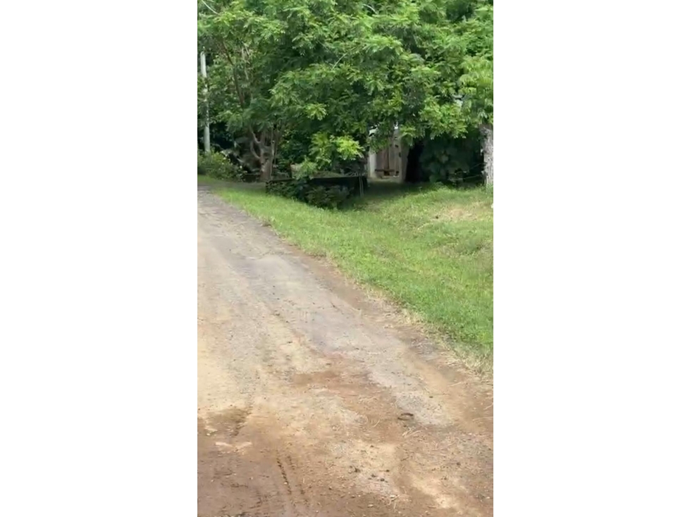 Venta de terreno en Guanico Abajo, Tonosí - 3