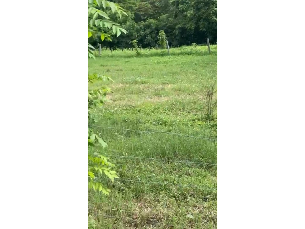 Venta de terreno en Guanico Abajo, Tonosí - 4
