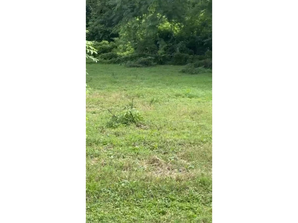 Venta de terreno en Guanico Abajo, Tonosí - 6