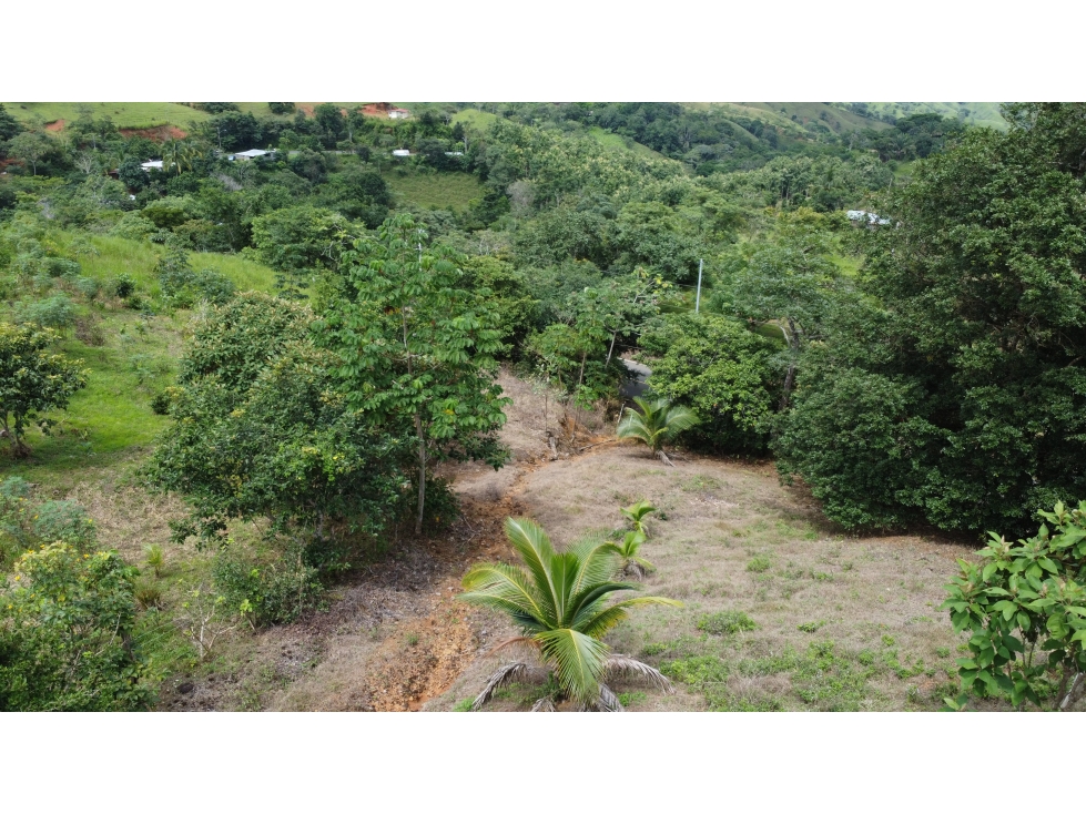 Venta de terreno en El Espavé, Tonosí - 2