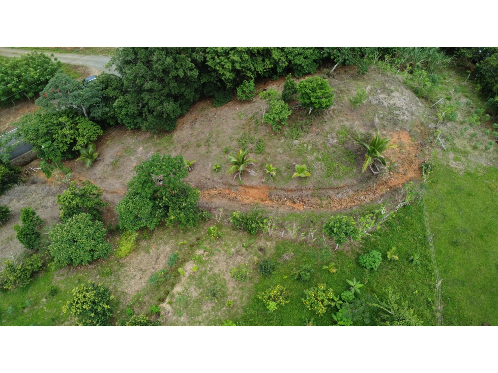 Venta de terreno en El Espavé, Tonosí - 5