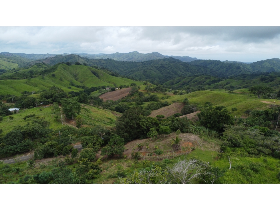 Venta de terreno en El Espavé, Tonosí - 6