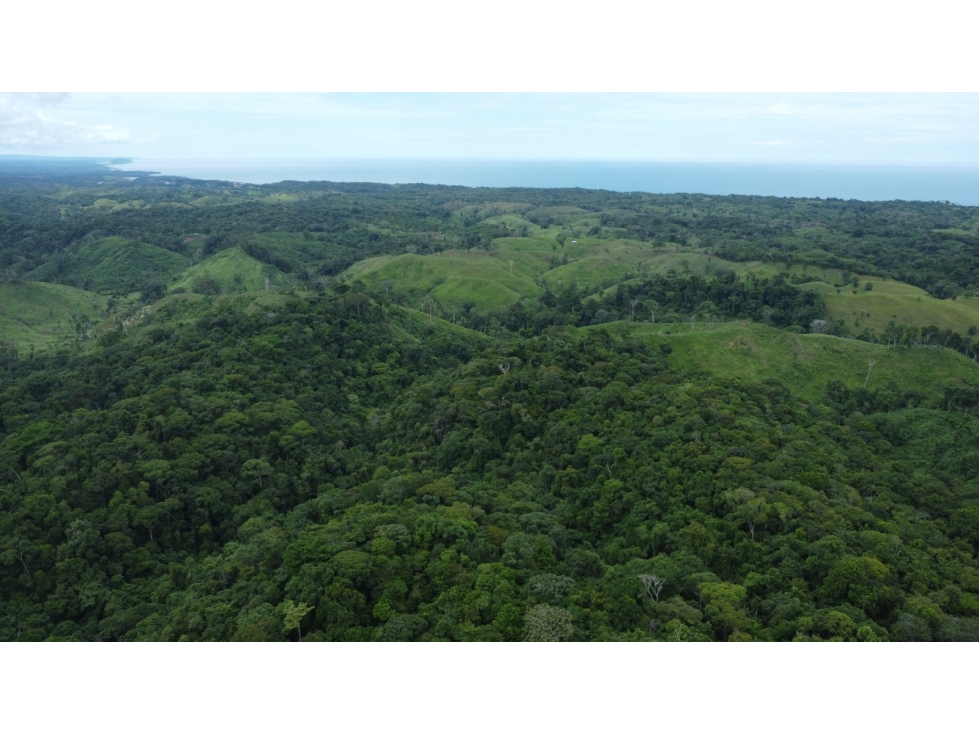 Venta o Alquiler de terreno en Colón, Piña - 2