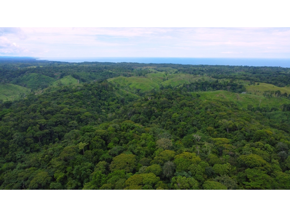 Venta o Alquiler de terreno en Colón, Piña - 3