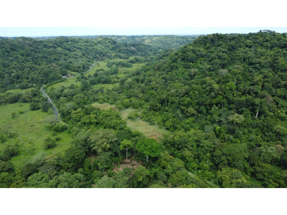 Venta o Alquiler de terreno en Colón, Piña - 5