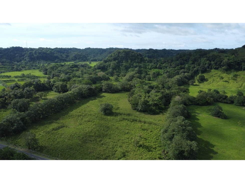 Venta o Alquiler de terreno en Colón, Achiotes - 4