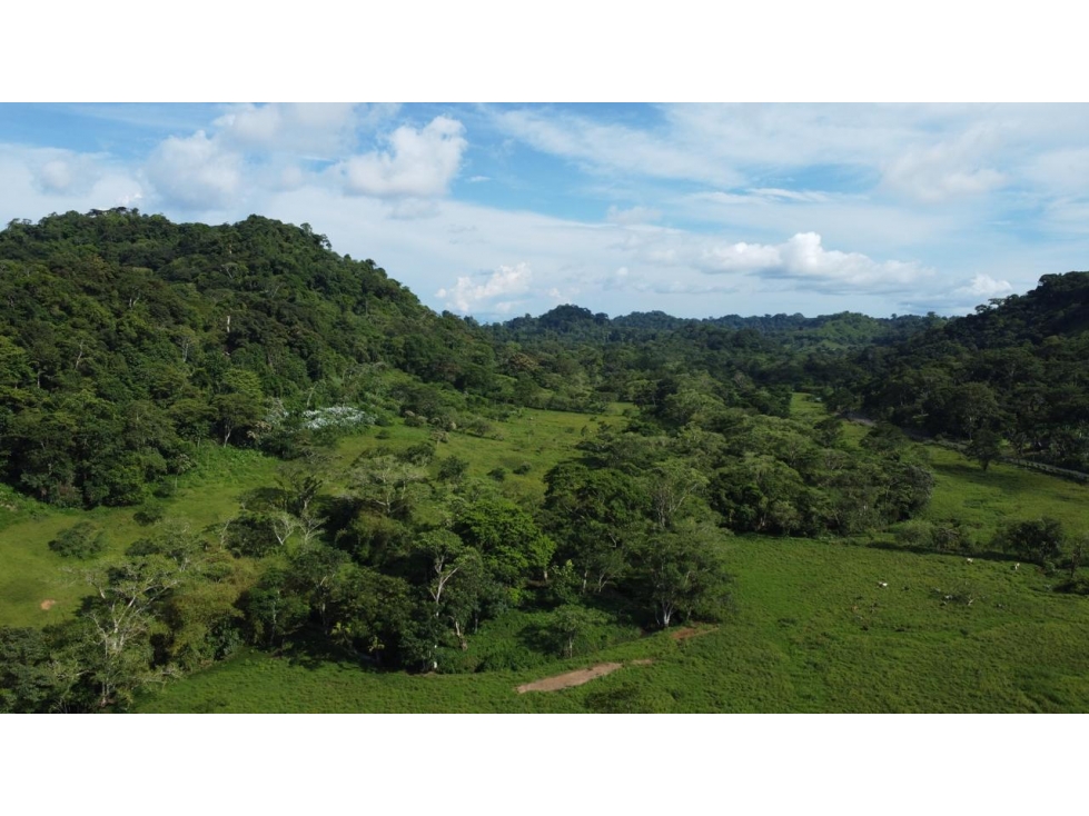 Venta o Alquiler de terreno en Colón, Achiotes - 6