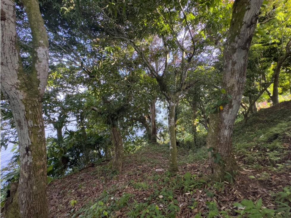 Venta o Alquiler de terreno en Colón, Escobal - 4