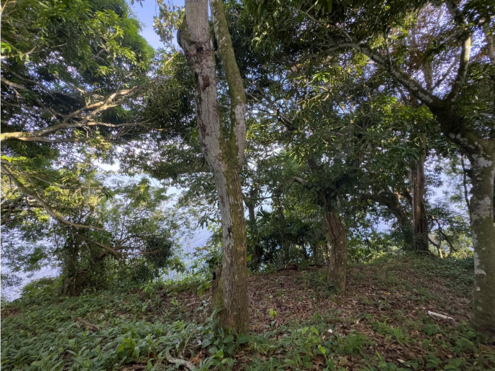 Venta o Alquiler de terreno en Colón, Escobal - 6