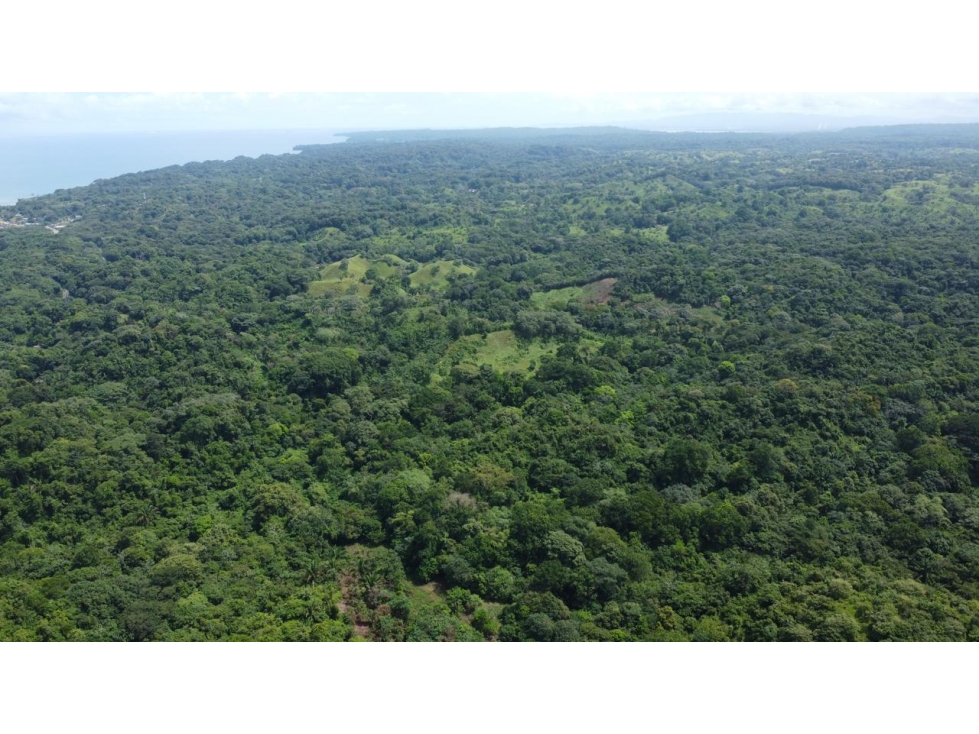 Venta o alquiler de terreno en el Mar Caribe, Colón, Salud - 2
