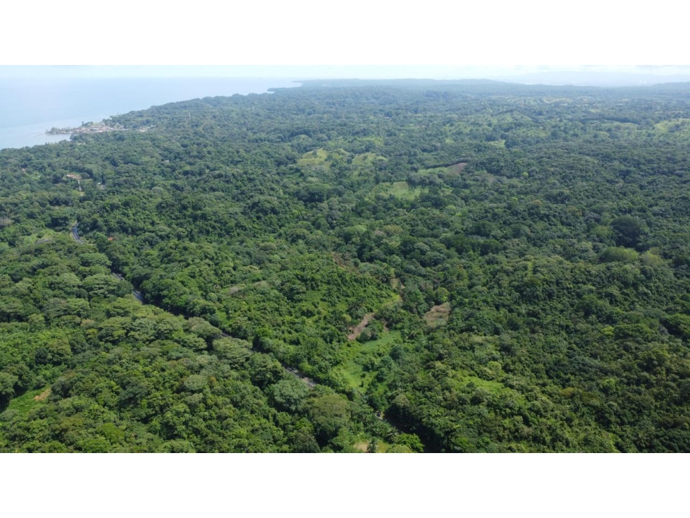 Venta o alquiler de terreno en el Mar Caribe, Colón, Salud - 4