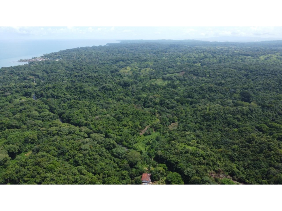 Venta o alquiler de terreno en el Mar Caribe, Colón, Salud - 3