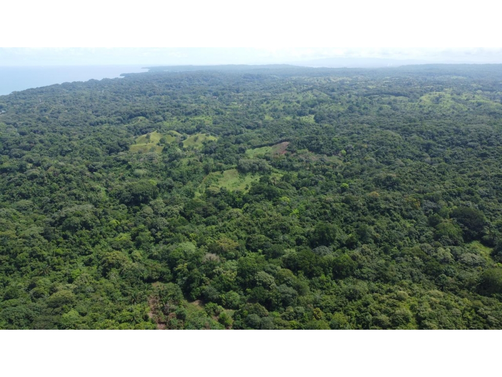Venta o alquiler de terreno en el Mar Caribe, Colón, Salud - 5