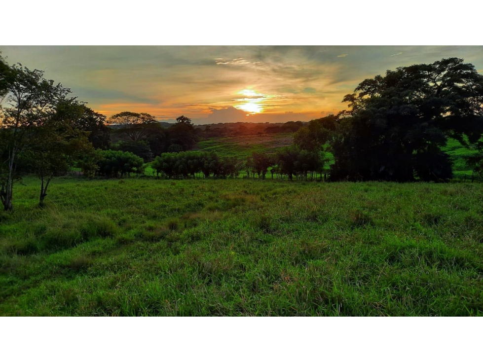 Venta de Lotes en Los Destiladeros, Pedasí - 1