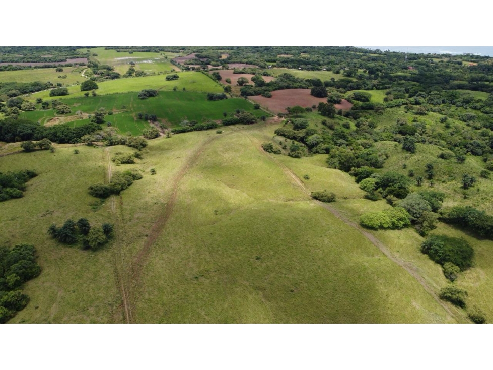 Venta de Lotes en Los Destiladeros, Pedasí - 3