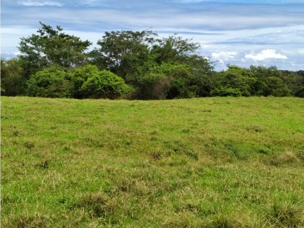 Venta de Lotes en Los Destiladeros, Pedasí - 4
