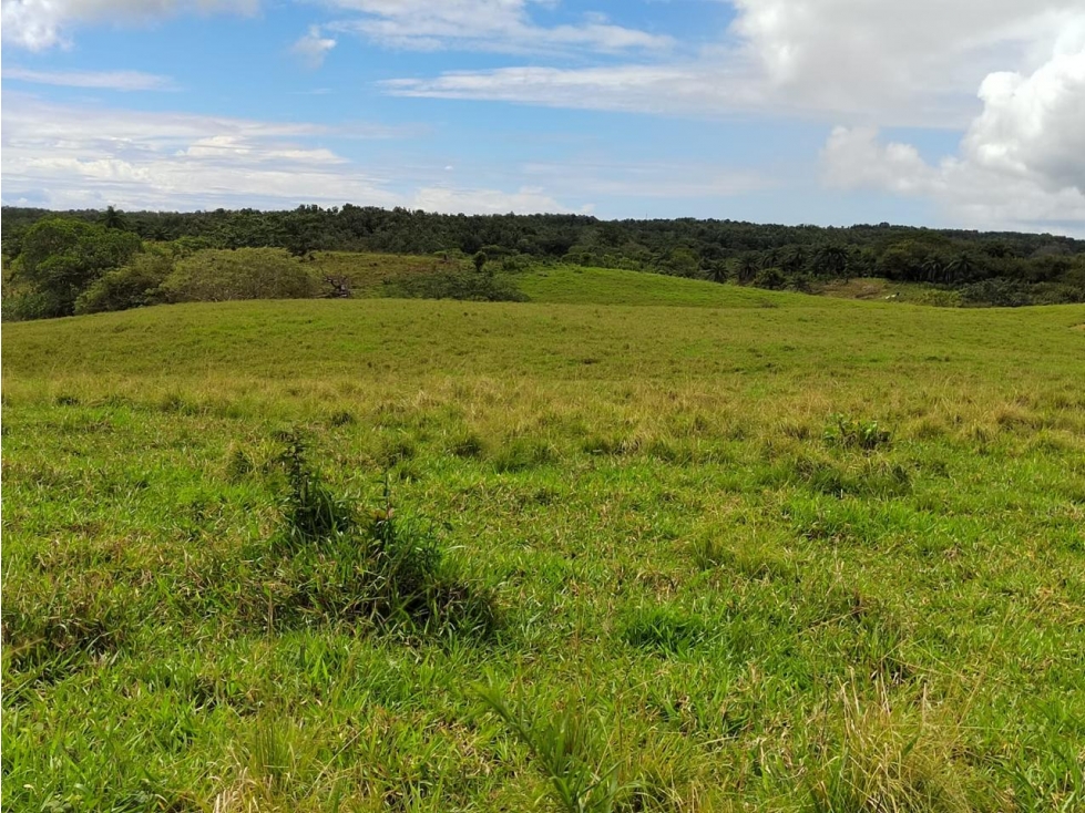 Venta de Lotes en Los Destiladeros, Pedasí - 5