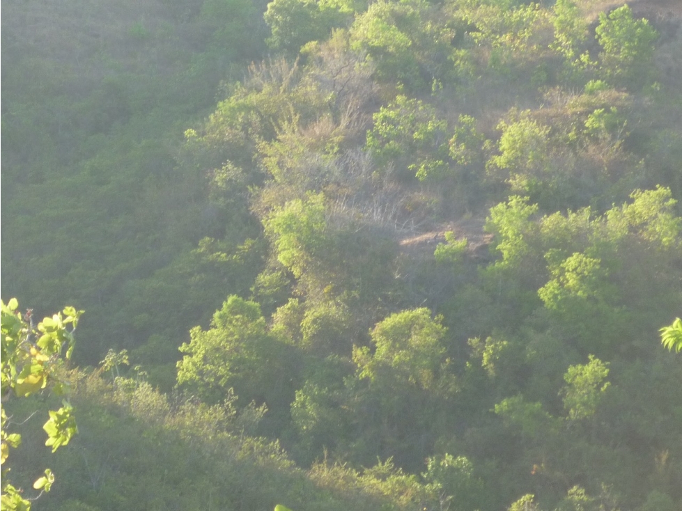 Venta de Terreno en Calobre - 2