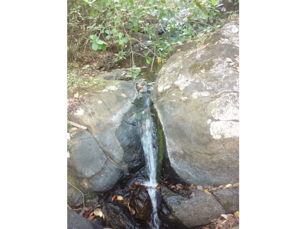 Venta de Terreno en Calobre - 3