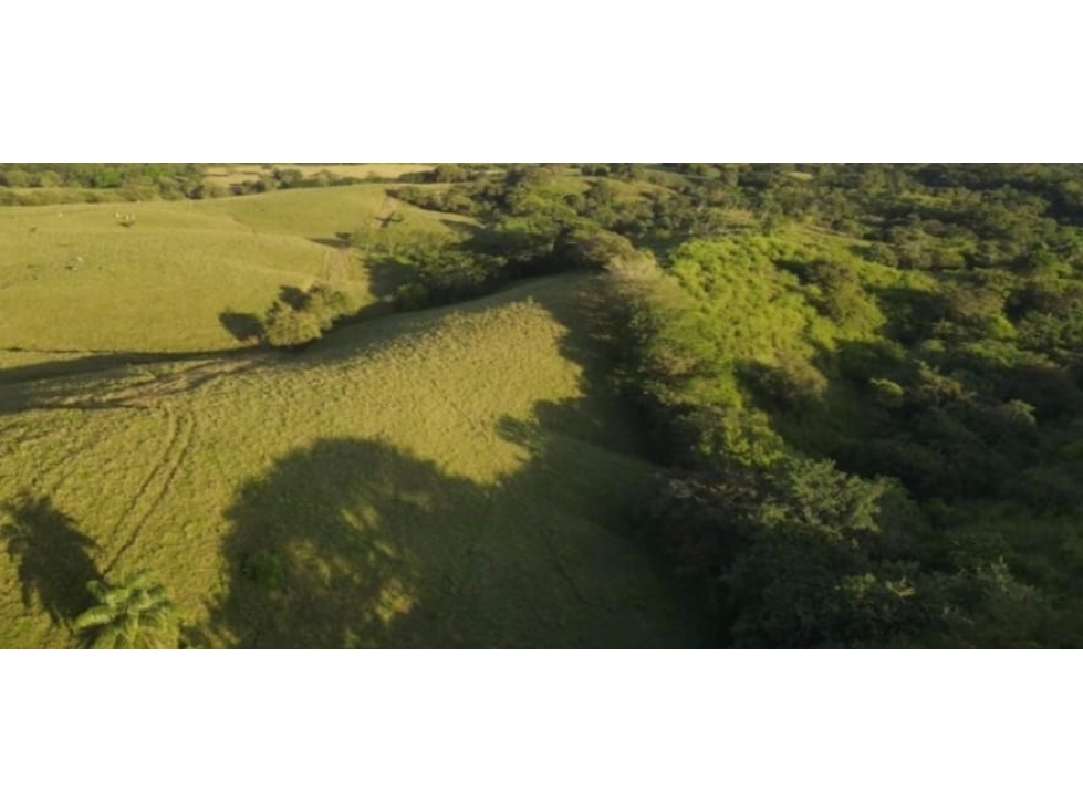 Venta de Terreno en Pedasí - 1