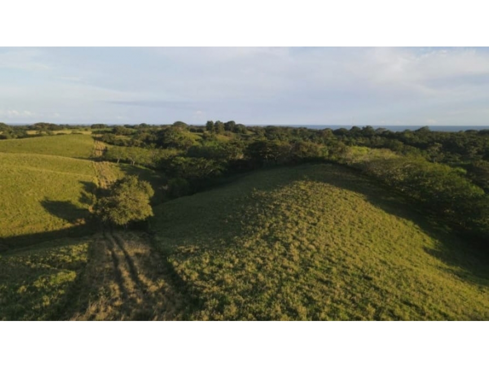 Venta de Terreno en Pedasí - 4