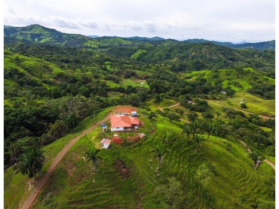 Venta de Finca en Cative, Veraguas - 2