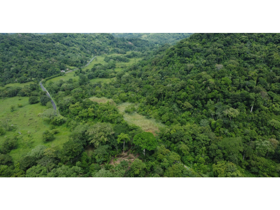 Venta de Terreno en Tonosi, Los Santos - 1