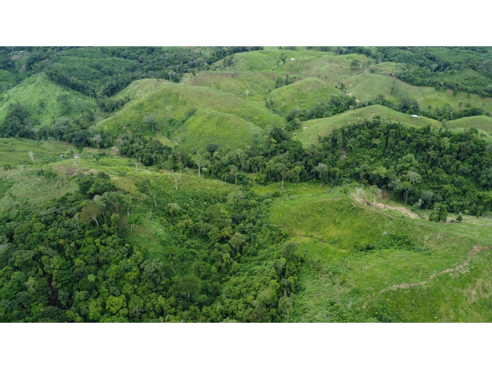 Venta de Terreno en Tonosí - 2