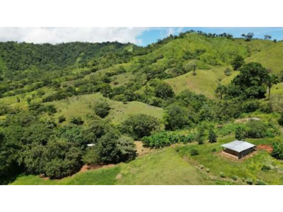 Venta de Terreno en Tonosí Los Santos - 1