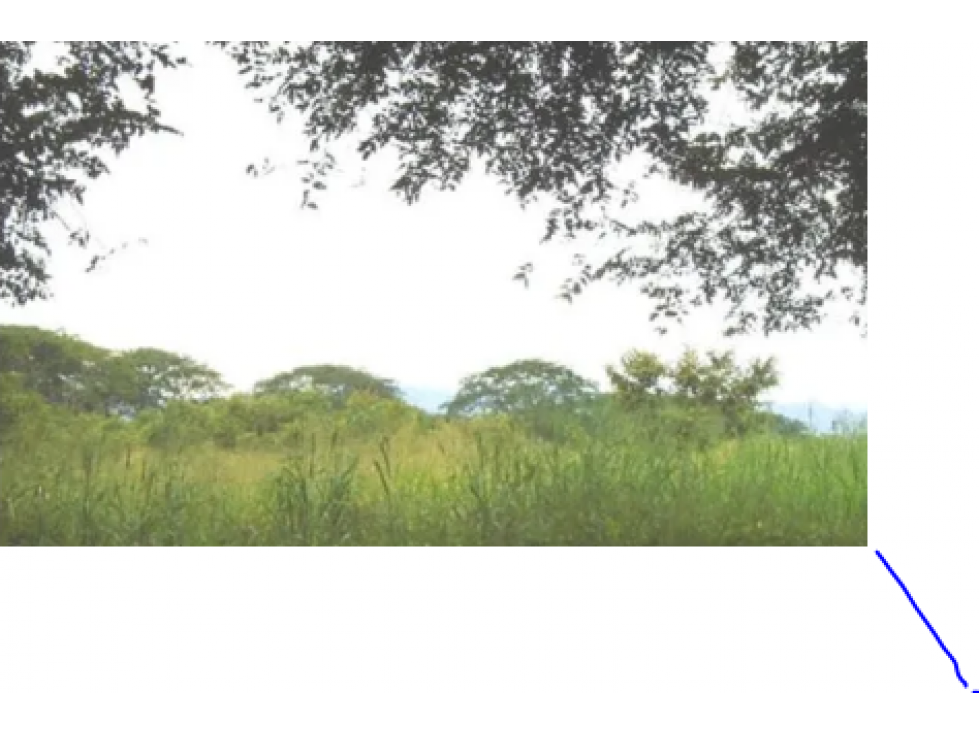 Venta de Terreno en Tonosi - 1