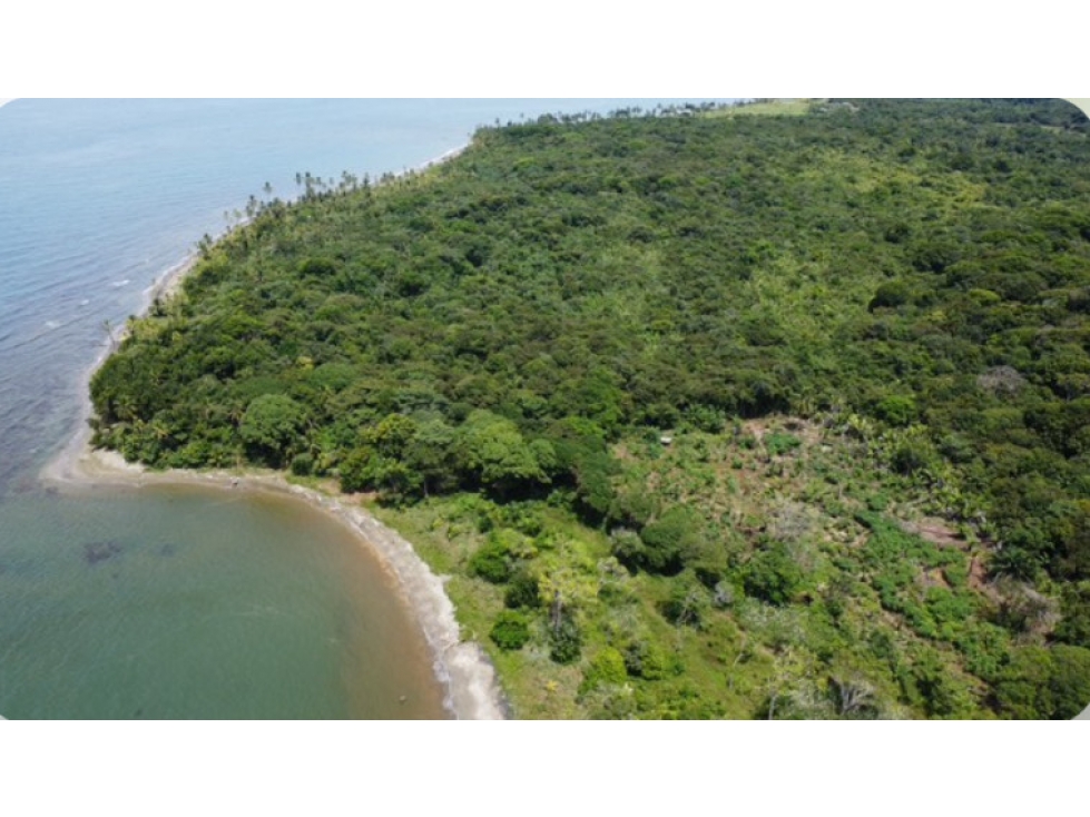 Venta de 2 Lotes de Terreno en Colón - 2