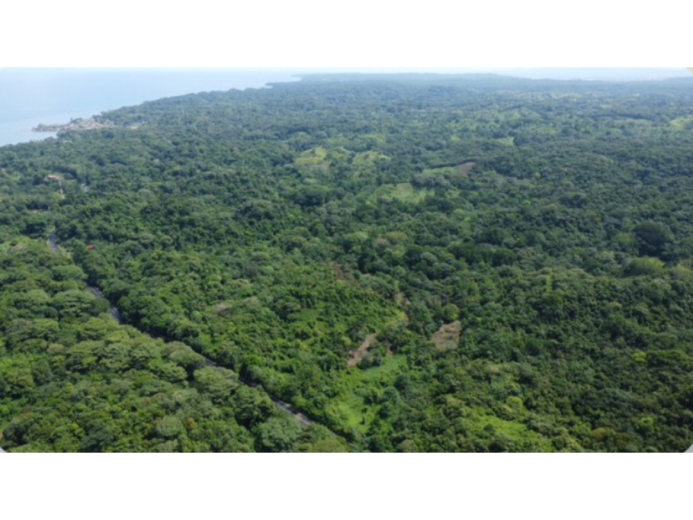 Venta de 2 Lotes de Terreno en Colón - 4